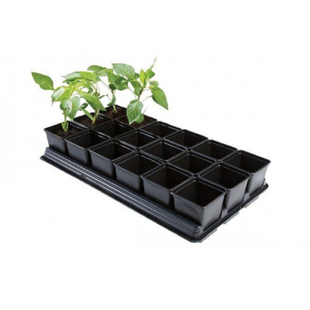 Growing Tray 18pot Square